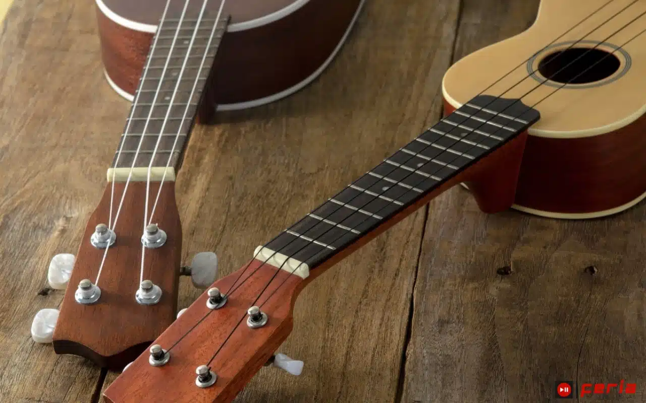 ¿Cómo aprender a tocar el Ukelele? Una guía para principiantes 2 Que ukelele elegir