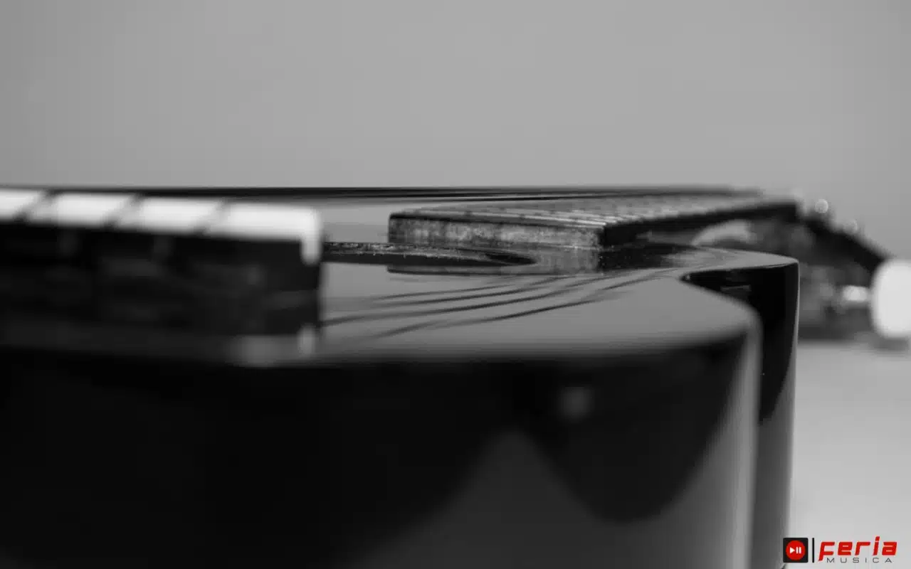 ¿Cómo aprender a tocar el Ukelele? Una guía para principiantes 1 historia del ukelele