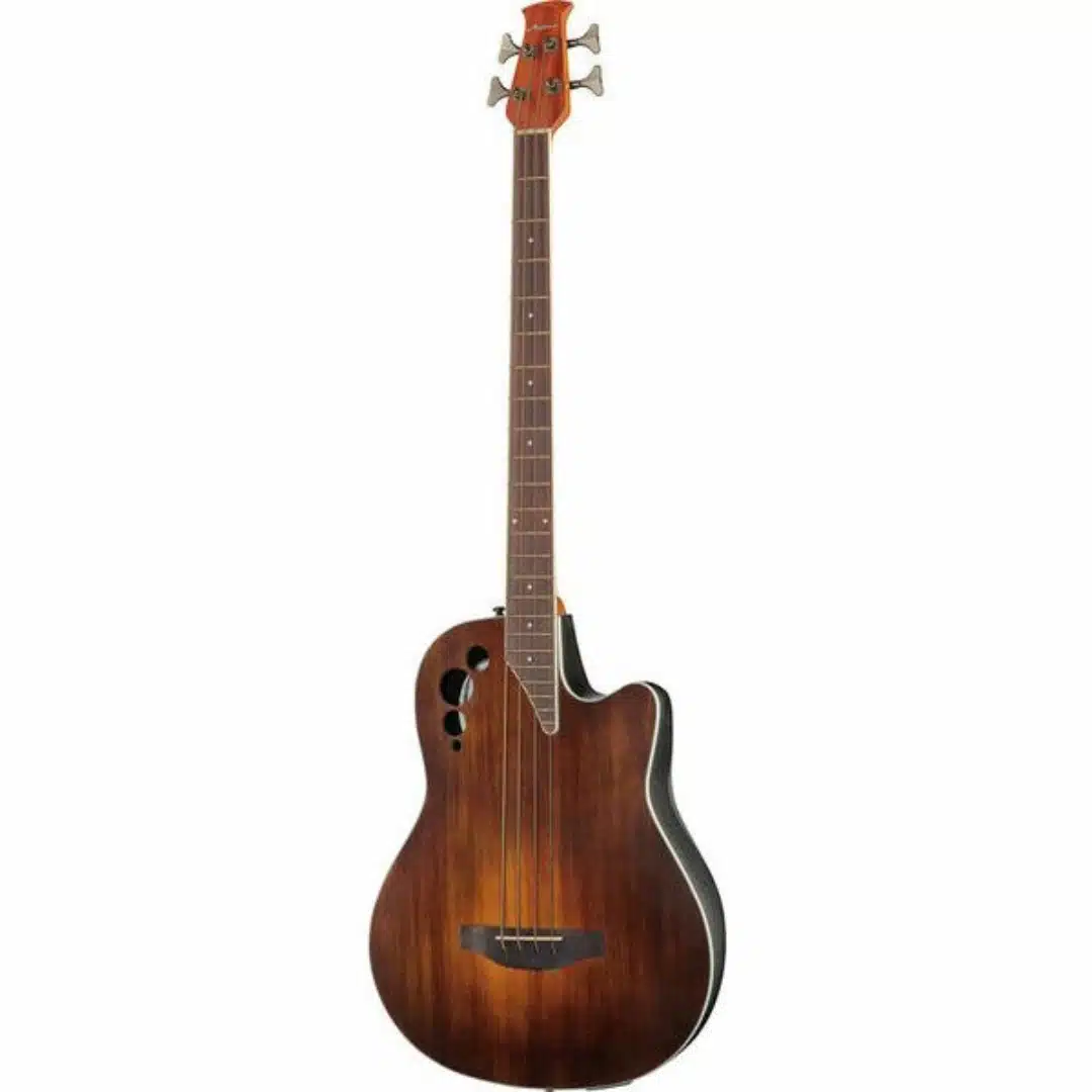 Los 10 mejores bajos acústicos 8 Applause Elite AEB4-7S