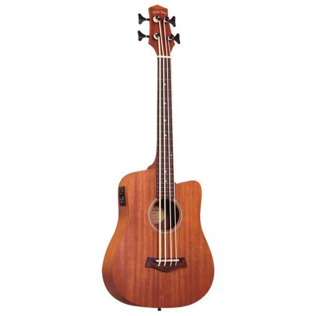 Los 10 mejores bajos acústicos 10 Gold Tone Micro Bass 23 Fretless w_Bag