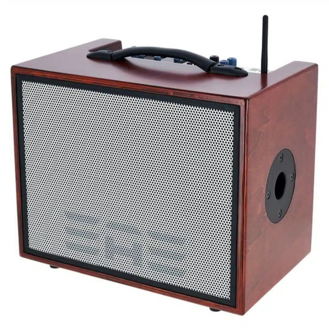 Elite Acoustics D6-58 Acoustic Amplifier Wood