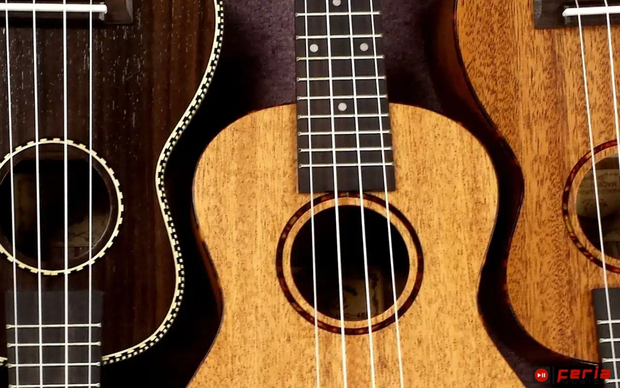 Aprende a tocar el ukulele: La guía completa para dominar este maravilloso instrumento 2 Tipos de ukeleles
