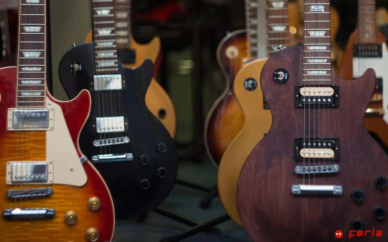 Diversidad actual de la familia de guitarra