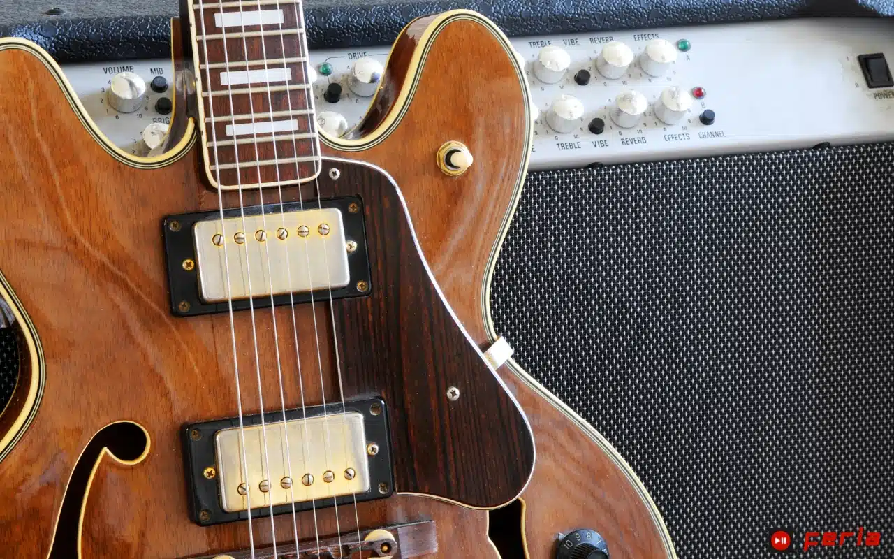 Explorando la Fascinante Familia de Guitarra