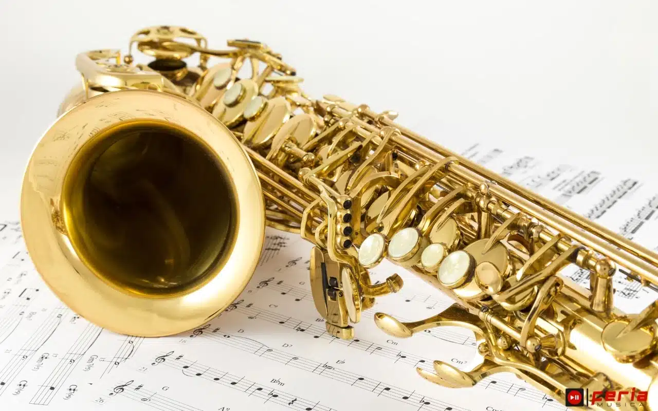 Conoce las notas y las escalas fundamentales