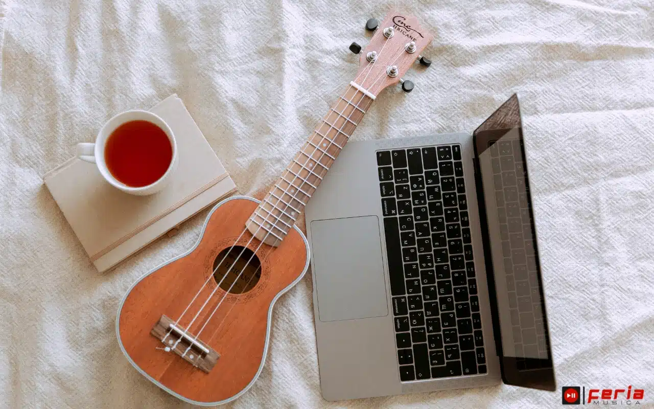 Introducción al mundo del ukulele