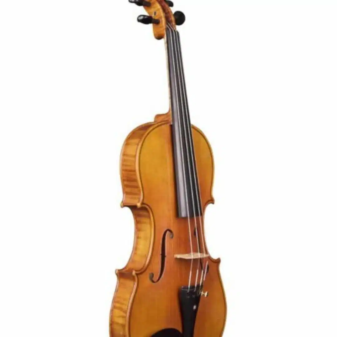 Violon gaucher Passion-Tradition Artisan