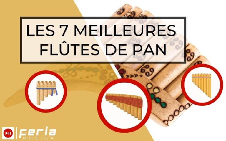 Les 7 meilleures flûtes de pan [Guide de 2025] | Feria Musica
