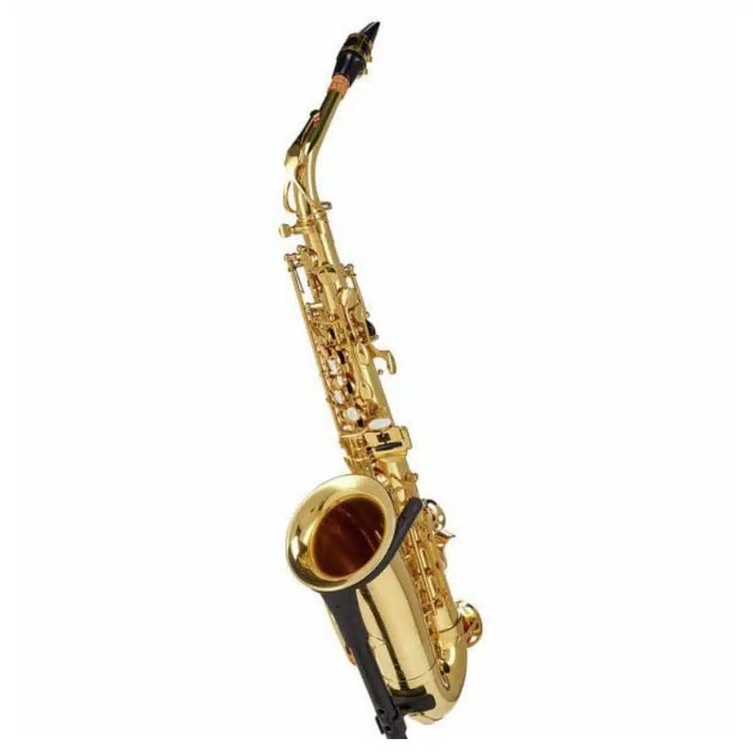 Les 10 meilleurs saxophones pour débutant 5 Startone SAS-75 Alto Sax