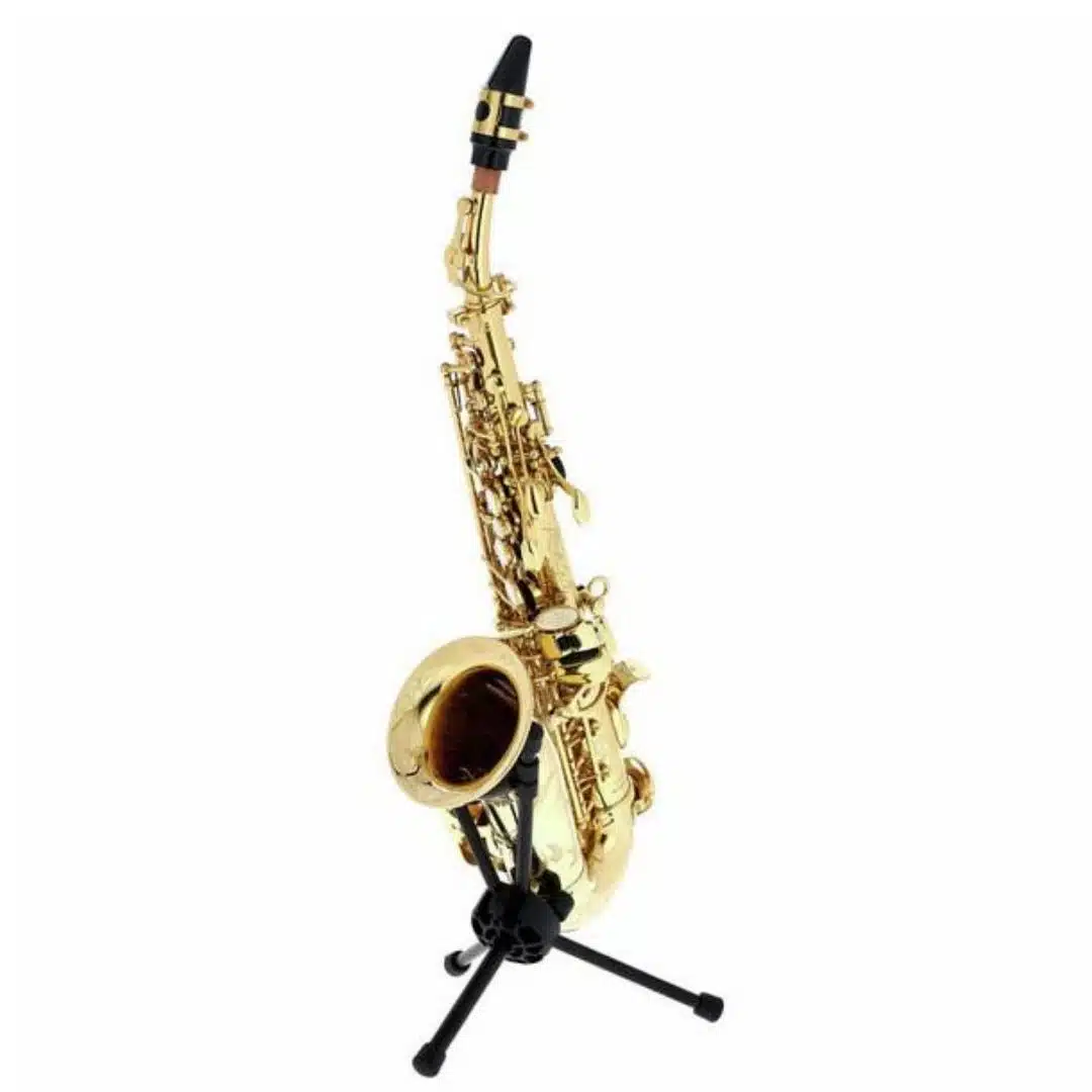 Les 10 meilleurs saxophones pour débutant 8 Thomann TCS-350 Curved Soprano Sax