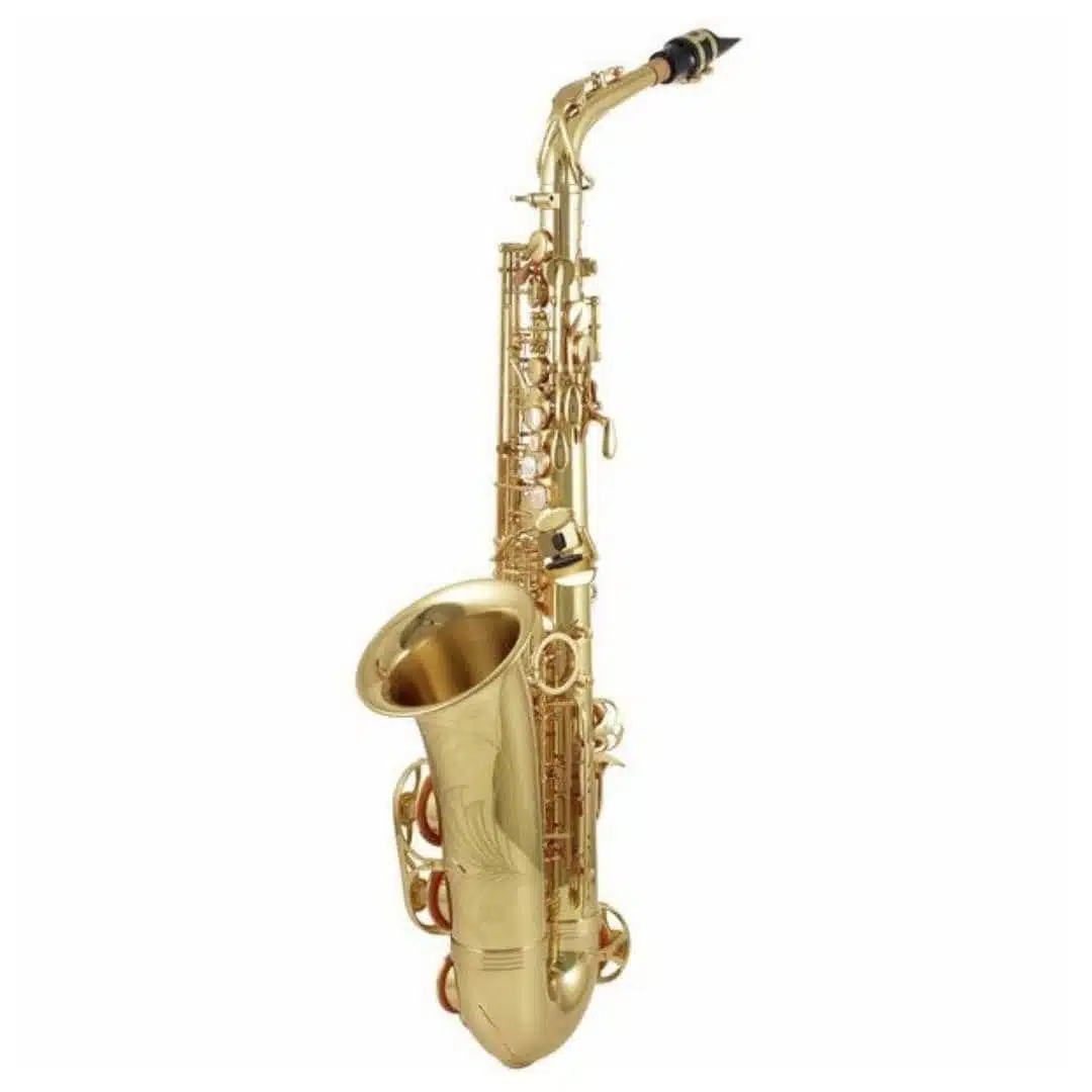 Les 10 meilleurs saxophones pour débutant 13 Yanagisawa A-WO1 Alto Sax