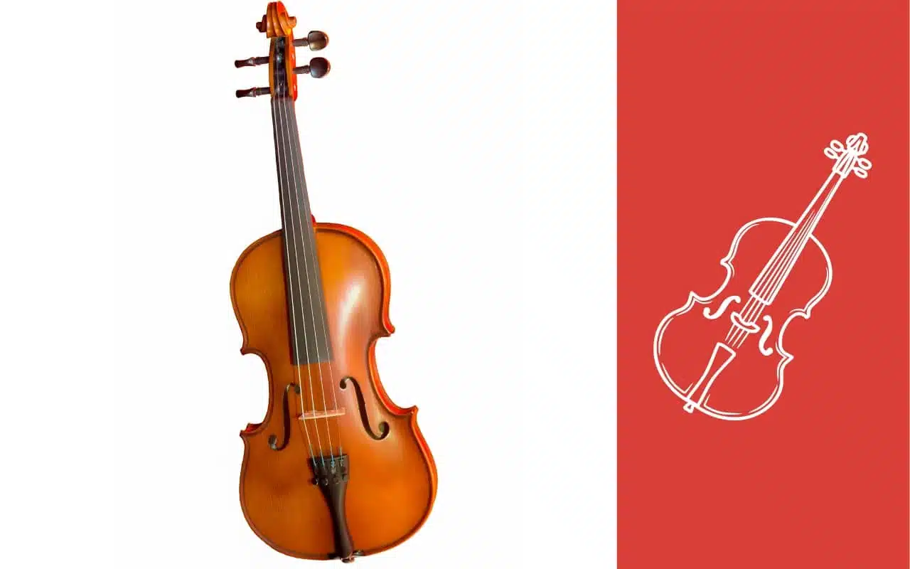 Les 5 meilleurs violoncelles 3/4 11 matériau de fabrication violoncelle 3_4