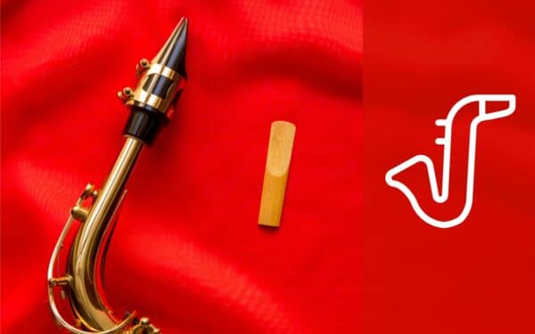 Kit Bec Saxophone Alto UPKOCH - Bec, Ligature Et Anche Blue - Améliore Ton Son Et Ton Style Visuel
