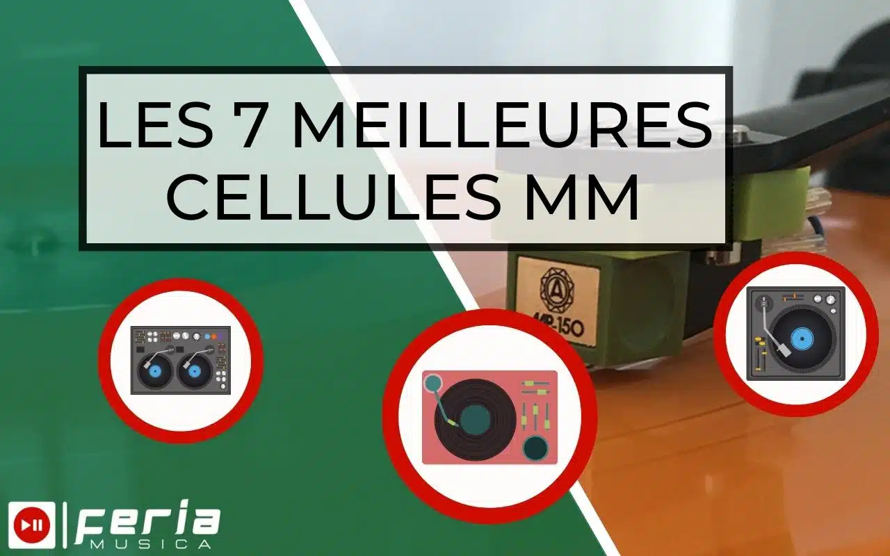 Les 10 Meilleures cellules Mm
