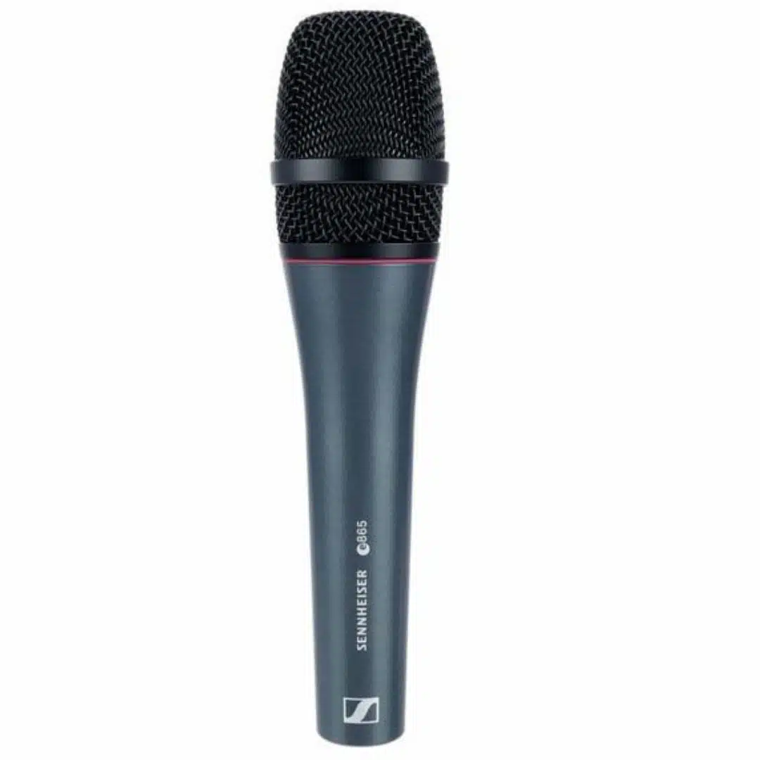 Sennheiser E 865