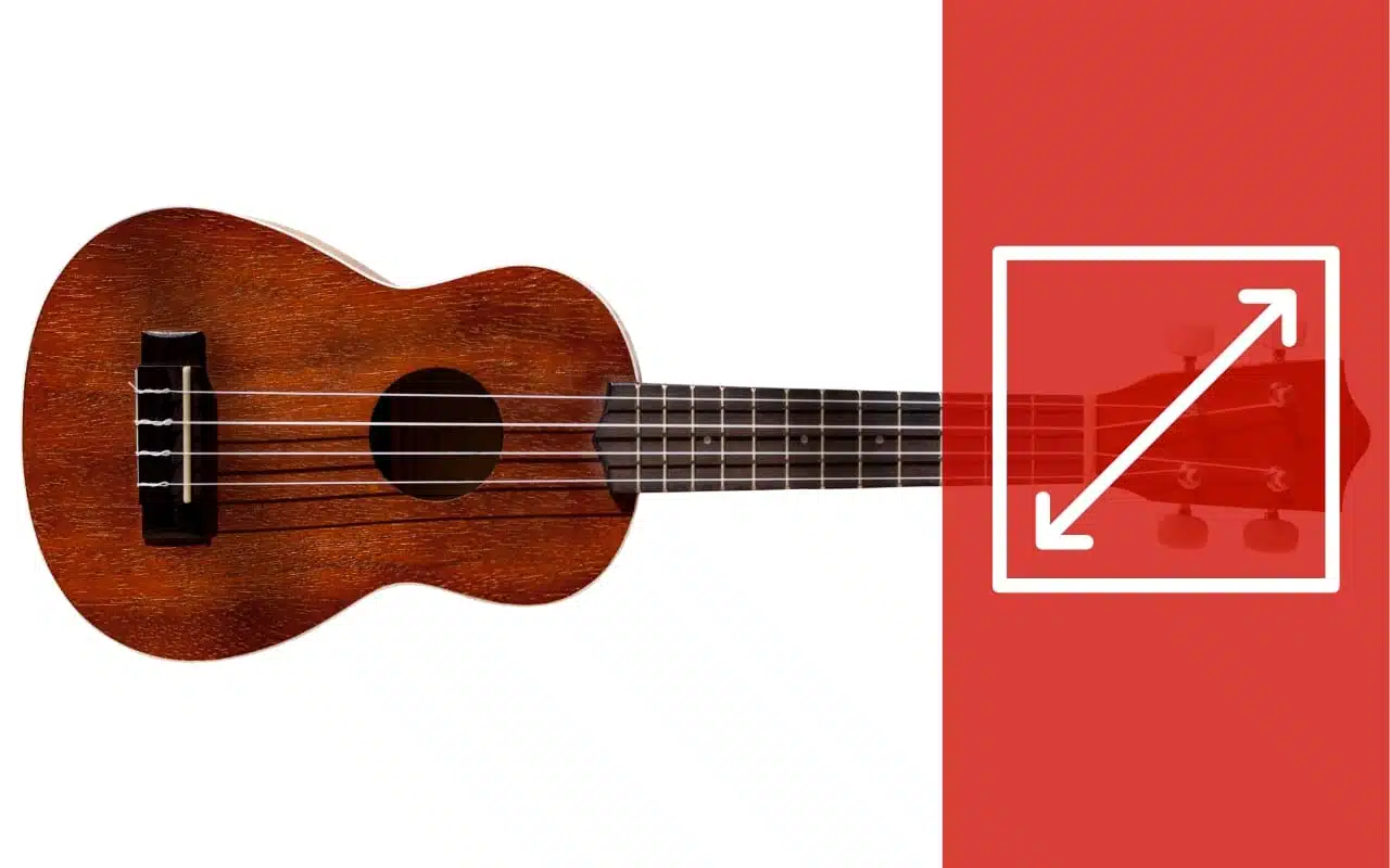 Tamaño guitarra pequeña