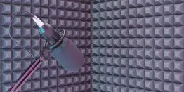 micro studio mousse