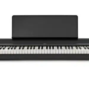 KORG B2