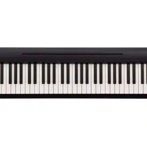 Roland FP-10