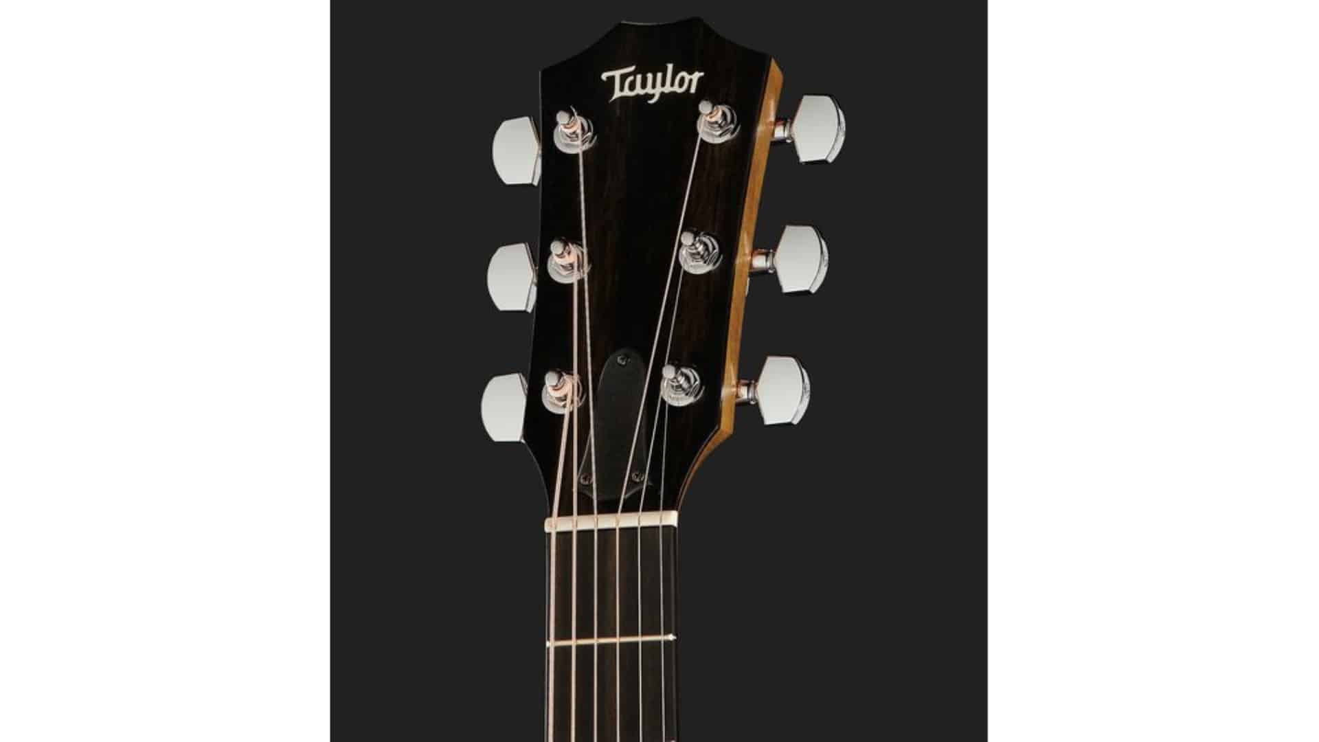 Découvrez le Taylor 110ce-S Sapele: La guitare électro-acoustique qui défie toutes les attentes! 2 Taylor 110ce S Sapele tete