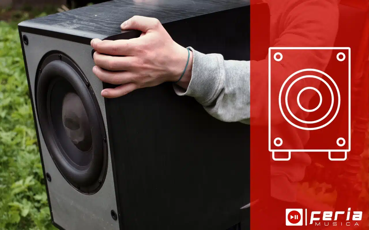 Portabilidad subwoofers pasivos