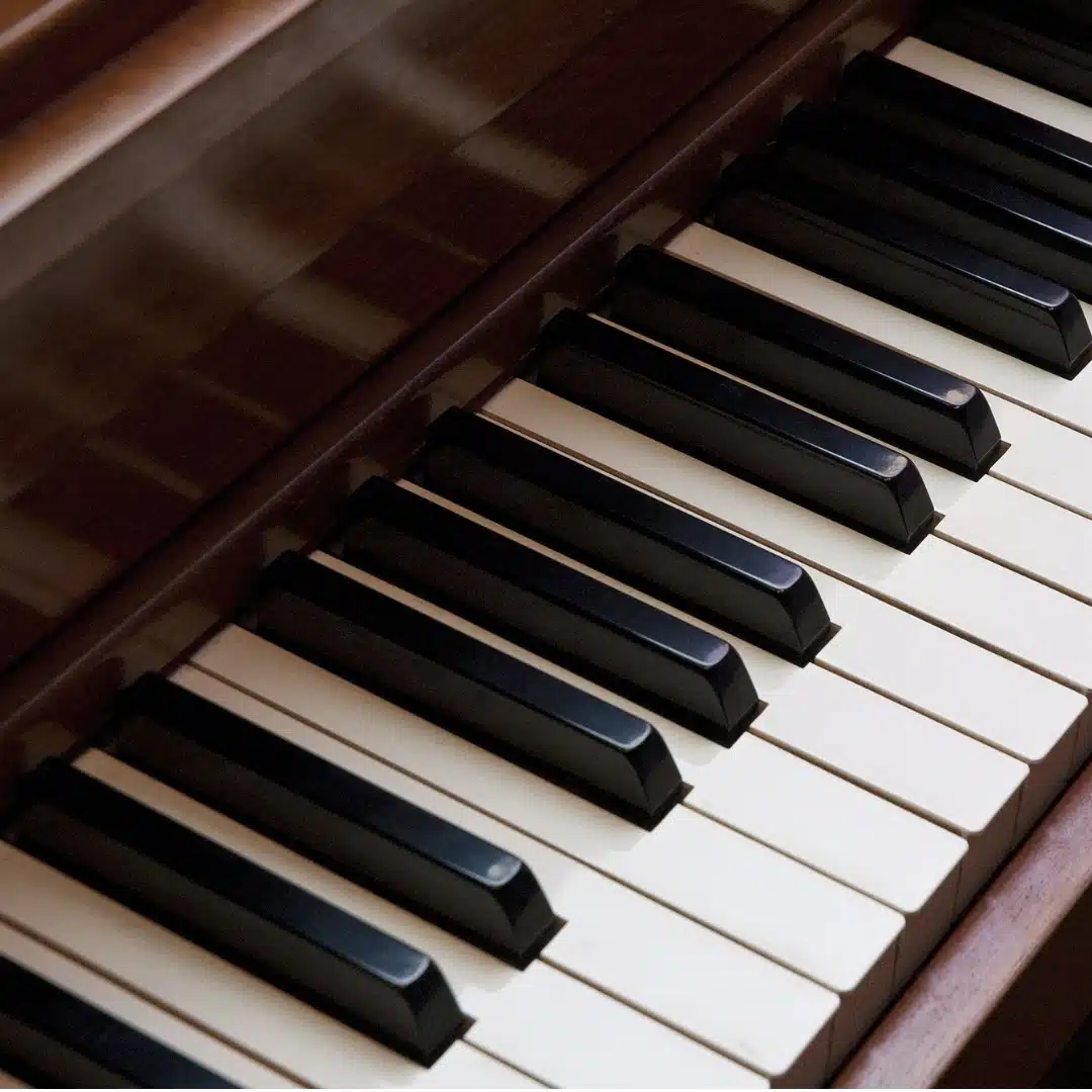 Les matériaux alternatifs utilisés pour la fabrication des pianos 1 Bois de substitution _ vers une lutherie durable