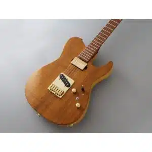 FGN Expert Iliad EIL-EW2-HS-RM/VNT - Vintage Natural