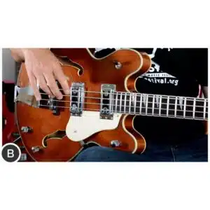 Harley Benton HB-60 WB