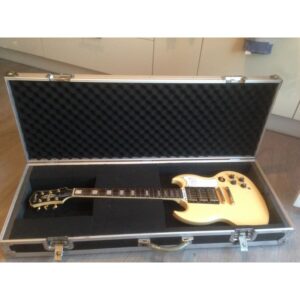 Harley Benton Flight Case Wood Guitar
