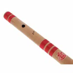 Thomann Nataraj Bansuri Pro Flute D#