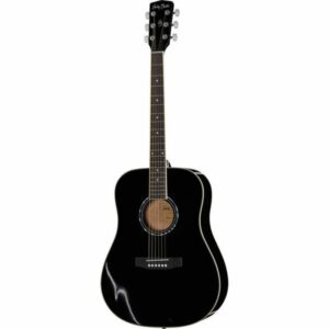 Harley Benton D-120BK