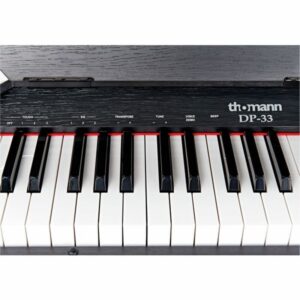 Thomann DP-33 B