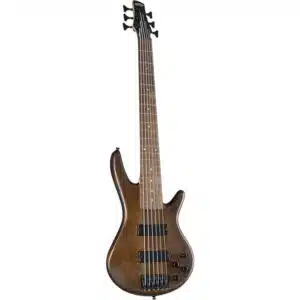 Ibanez GSR206B-WNF Walnut Flat Gio