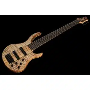 Harley Benton BZ-6000 II NT