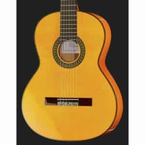 Amalio Burguet 2F Spruce Flamenco w/Case