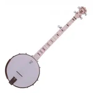 Deering Goodtime Banjo