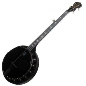 Deering Goodtime Special Banjo