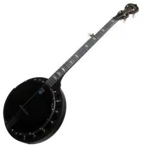 Deering Goodtime Special Banjo