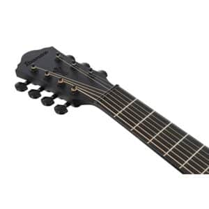 Ibanez AEG721-BOT