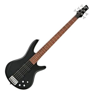 Ibanez GSR205-BK Black Gio