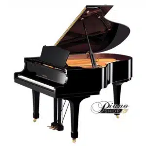 Yamaha C 2 X PE