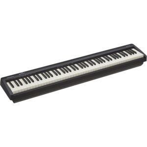 Roland FP-10