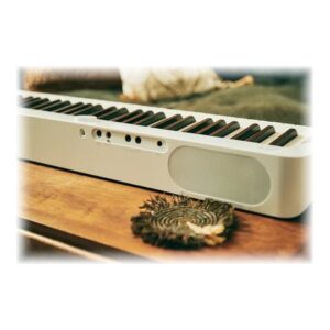 Casio PX-S1100WE
