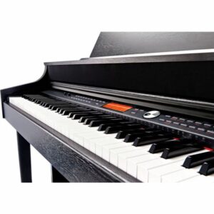 Thomann DP-95 B