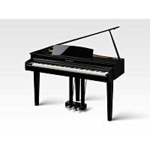 Kawai DG 30