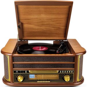 Platine vinyle EVIDENCE ACOUSTICS EA-PL100-WOOD - Haut-parleurs 20 watts
