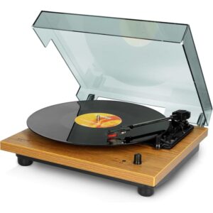 Platine vinyle LENCO LS-300WD