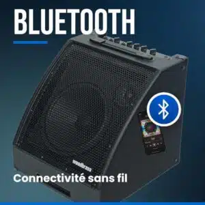 Woodbrass D30BT 30W