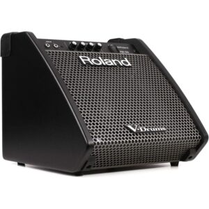 Roland PM-100 Personal Drum Monitor