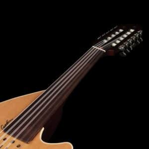 Godin MultiOud Encore Nylon